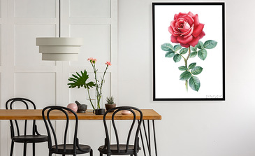 Visualisierung des Produkts