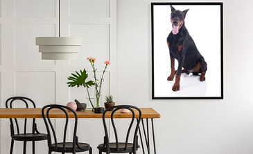 Visualisierung des Produkts