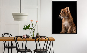 Visualisierung des Produkts