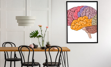 Visualisierung des Produkts