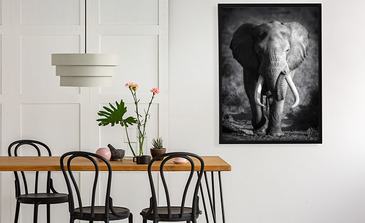 Visualisierung des Produkts