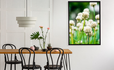 Visualisierung des Produkts