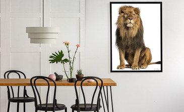 Visualisierung des Produkts