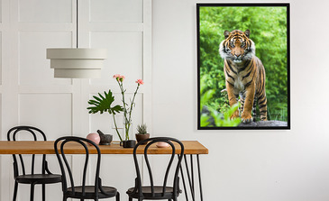 Visualisierung des Produkts