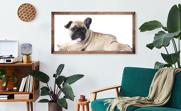 Visualisierung des Produkts