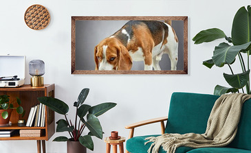 Visualisierung des Produkts