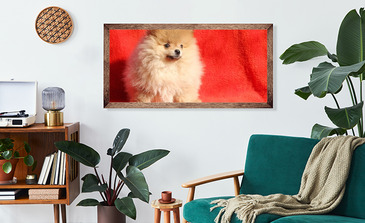 Visualisierung des Produkts