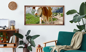 Visualisierung des Produkts