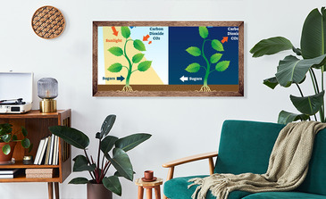 Visualisierung des Produkts