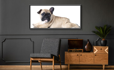 Visualisierung des Produkts