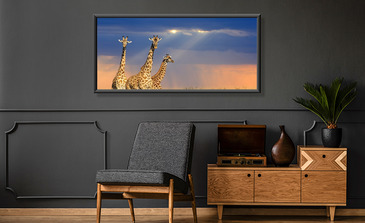 Visualisierung des Produkts