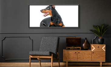 Visualisierung des Produkts