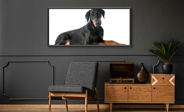 Visualisierung des Produkts