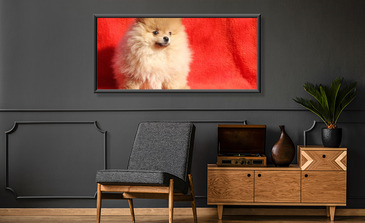 Visualisierung des Produkts