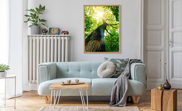 Visualisierung des Produkts