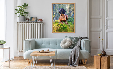 Visualisierung des Produkts