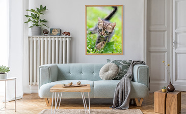 Visualisierung des Produkts