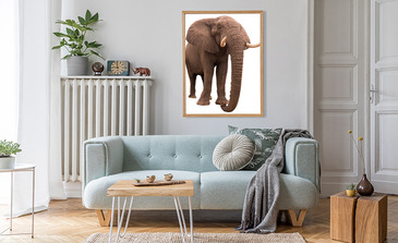 Visualisierung des Produkts