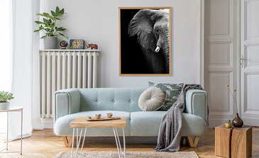 Visualisierung des Produkts