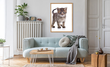 Visualisierung des Produkts