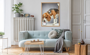 Visualisierung des Produkts