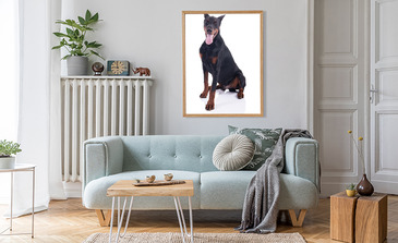 Visualisierung des Produkts