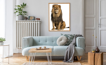 Visualisierung des Produkts