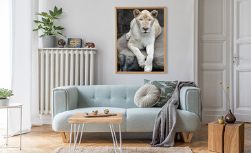 Visualisierung des Produkts