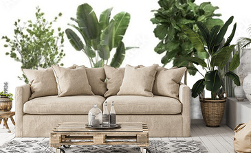 Visualisation du produit