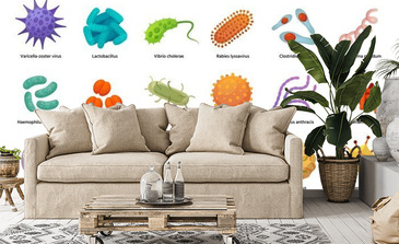 Visualisation du produit