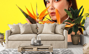 Visualisation du produit