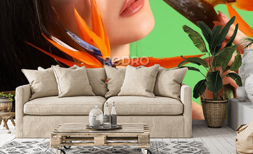 Visualisation du produit