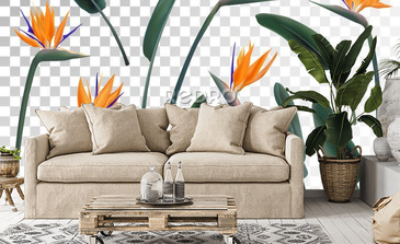 Visualisation du produit