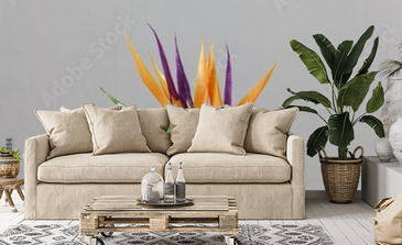 Visualisation du produit