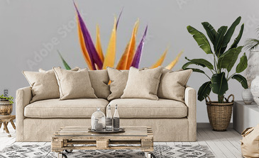 Visualisation du produit