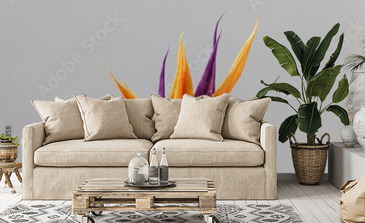 Visualisation du produit