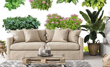 Visualisation du produit