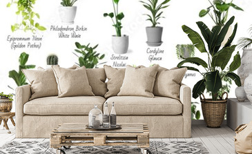 Visualisation du produit