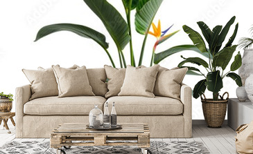 Visualisation du produit