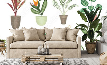 Visualisation du produit