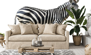 Visualisation du produit