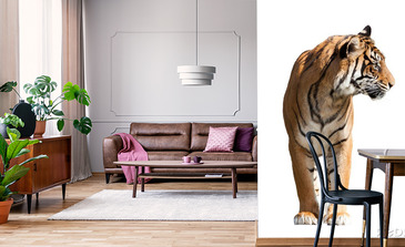 Visualisation du produit