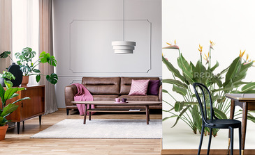 Visualisation du produit