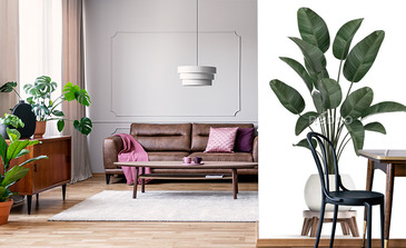 Visualisation du produit