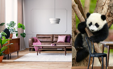 Visualisation du produit