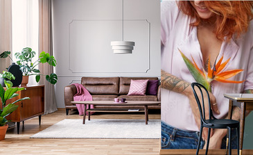 Visualisation du produit