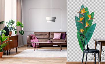 Visualisation du produit