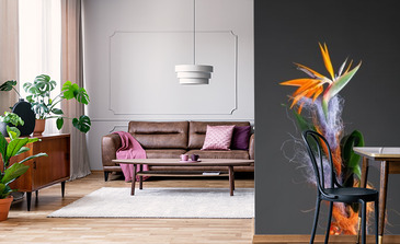 Visualisation du produit