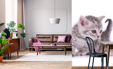 Visualisation du produit