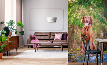 Visualisation du produit